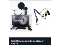 Microfono De Studio Condenser