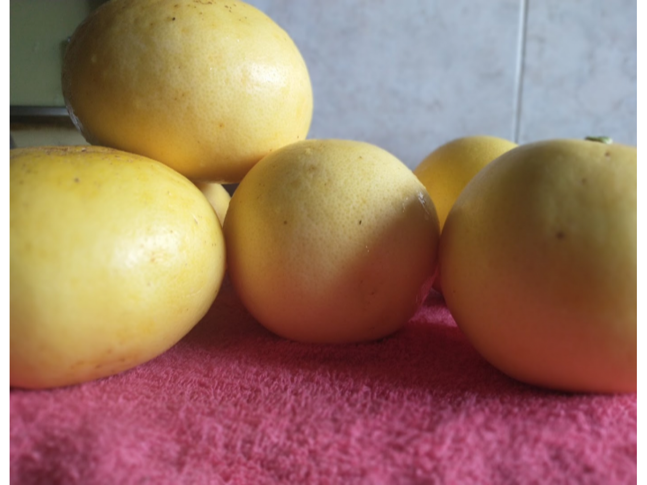 Pomelos Blancos Grandes Y Medianos Comprá en San Juan