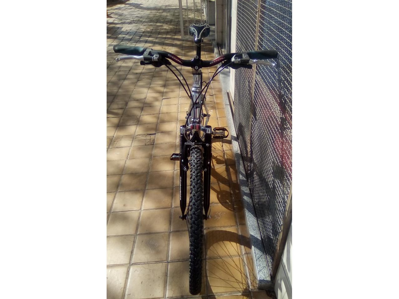Venzo rod online 26
