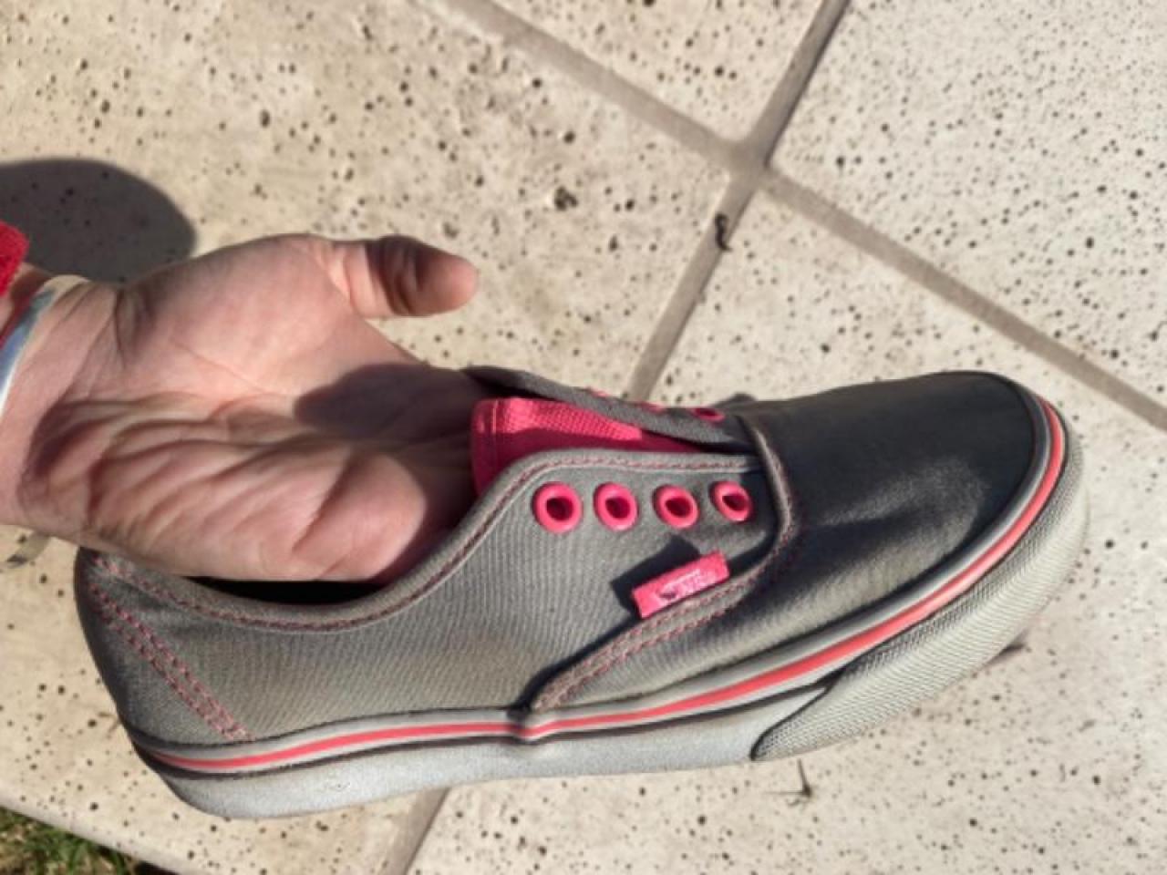 Zapatillas sales vans nena