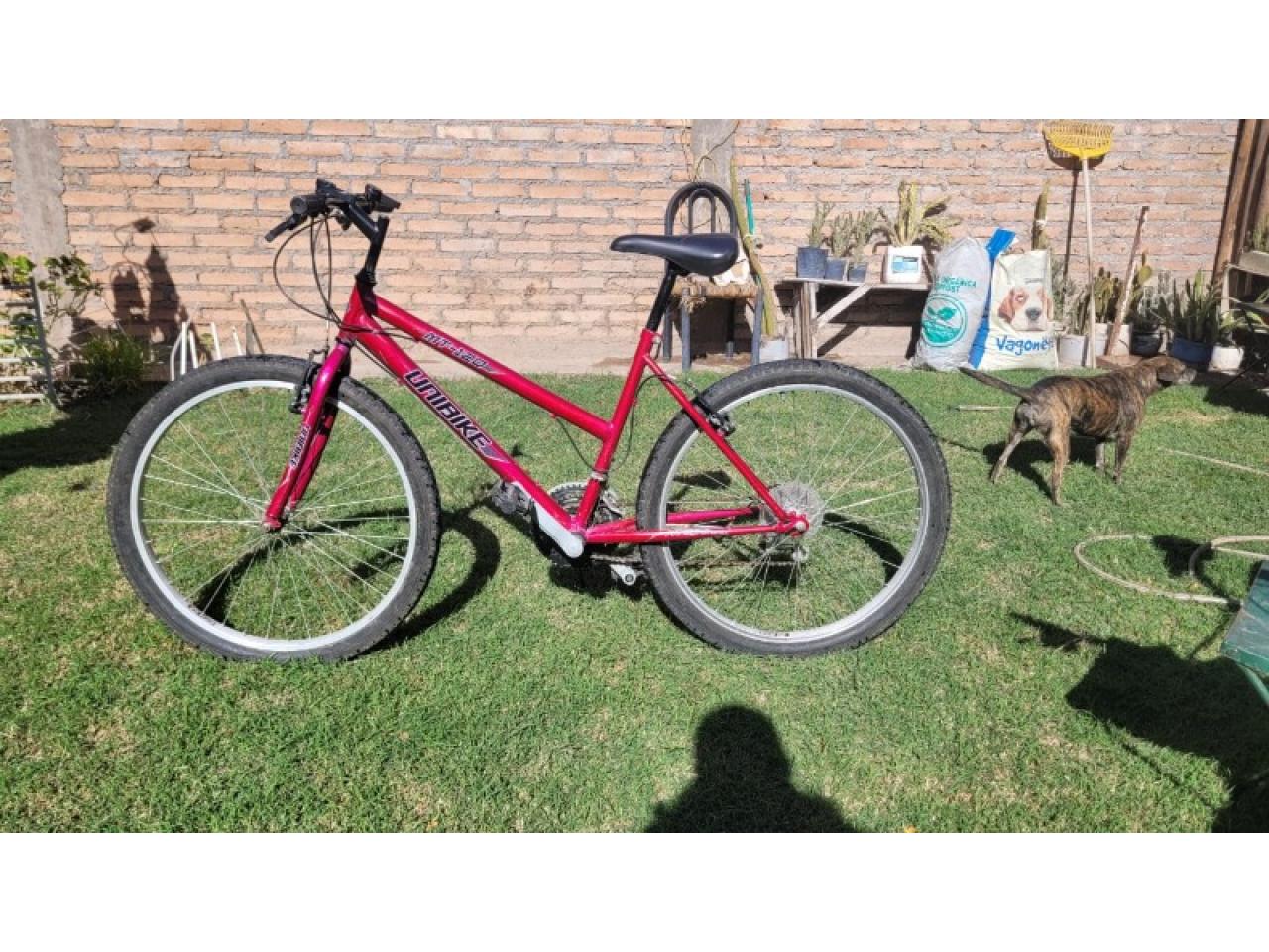 Bicicleta Unibike Mt 120 Rodado 29 Unisex Compr en San Juan