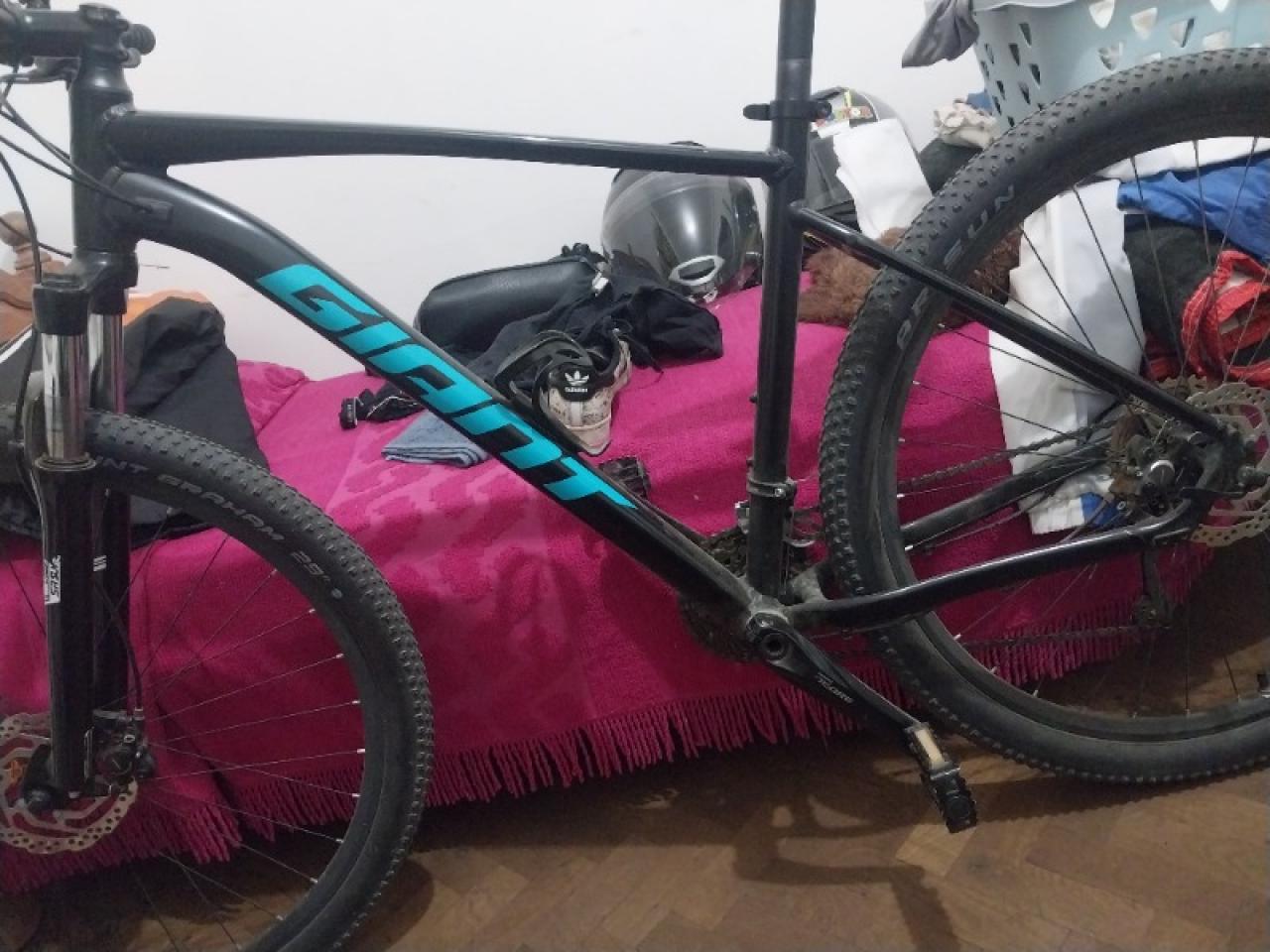 Cuadro sales giant talon