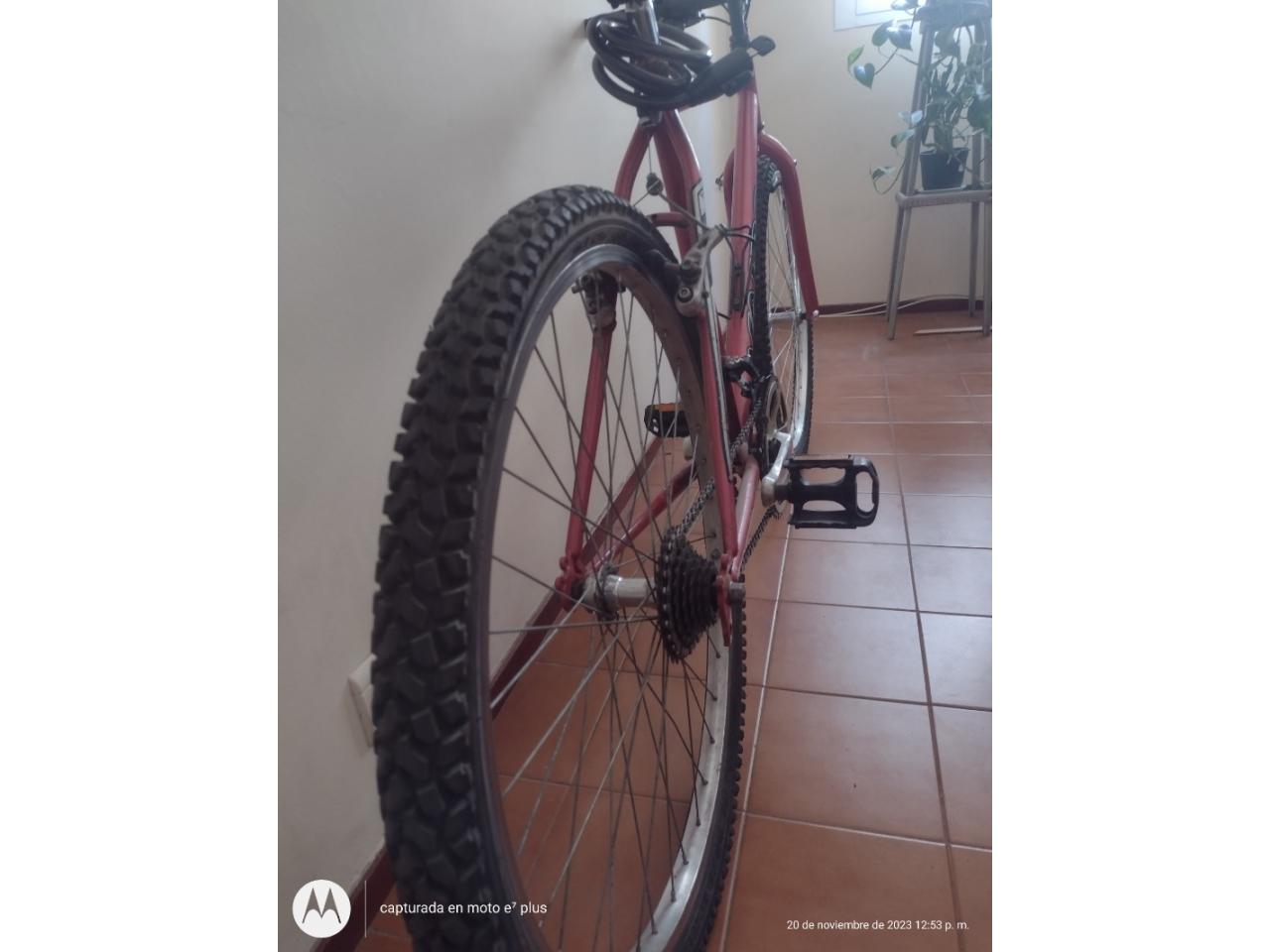 Bici vairo rodado 26 deals