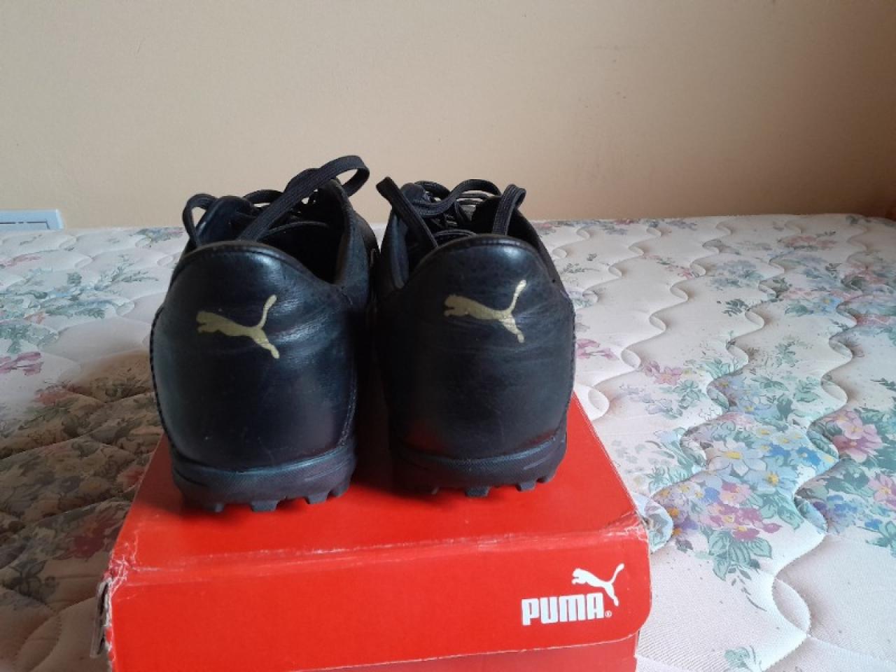 Botines Puma Borussia Cesped Sintetico Tt Adp Compra en San Juan