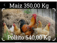 Alimentos Balanceados Animales Granja Forrajes