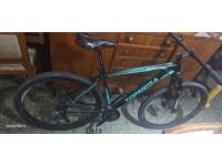 Bicicleta Top Mega Sunshine Rod 29
