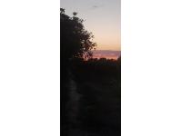 Venta. Finca 4ha