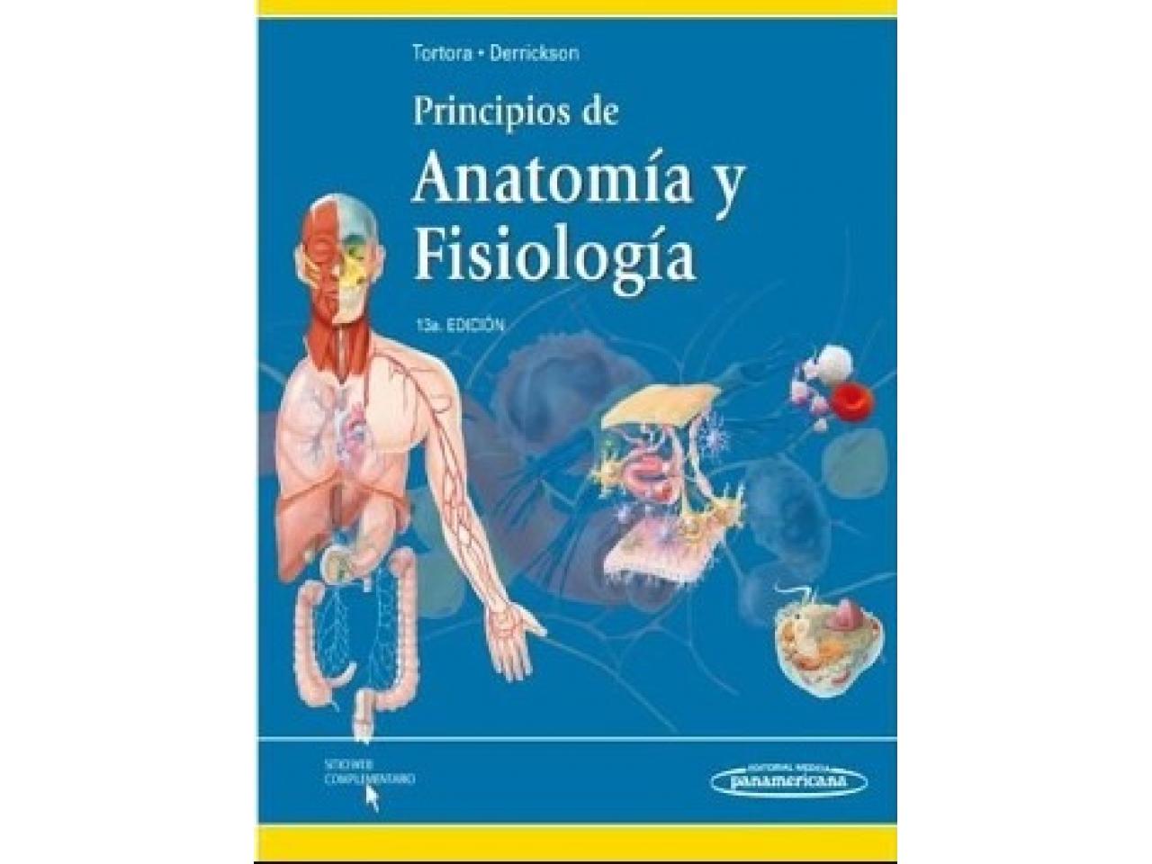 Principios De Anatomía Y Fisiología Tortora Edición 13 Comprá En